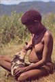 Breastfeeding Animals